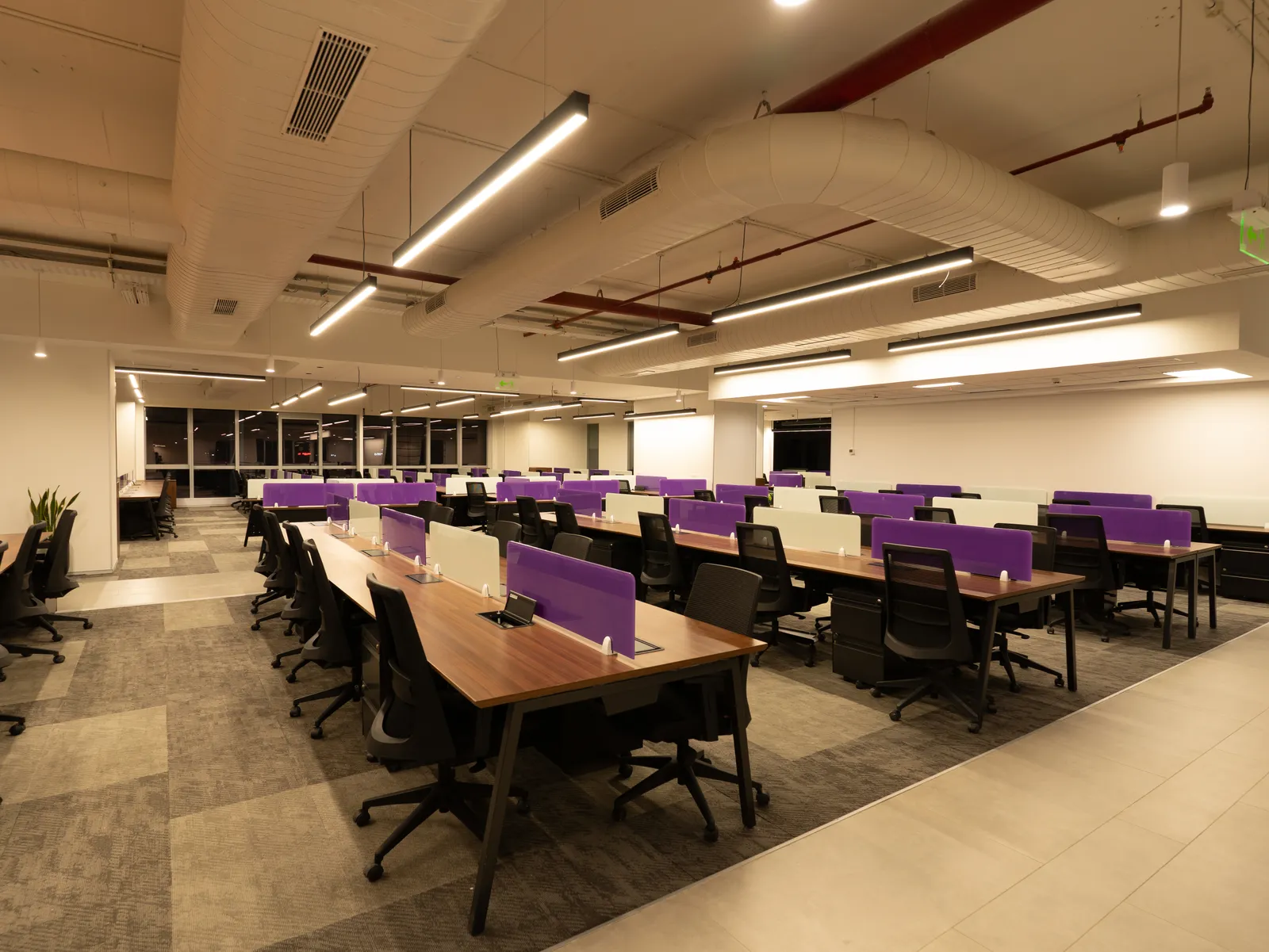 Open office with purple-screened workstations — Moschip